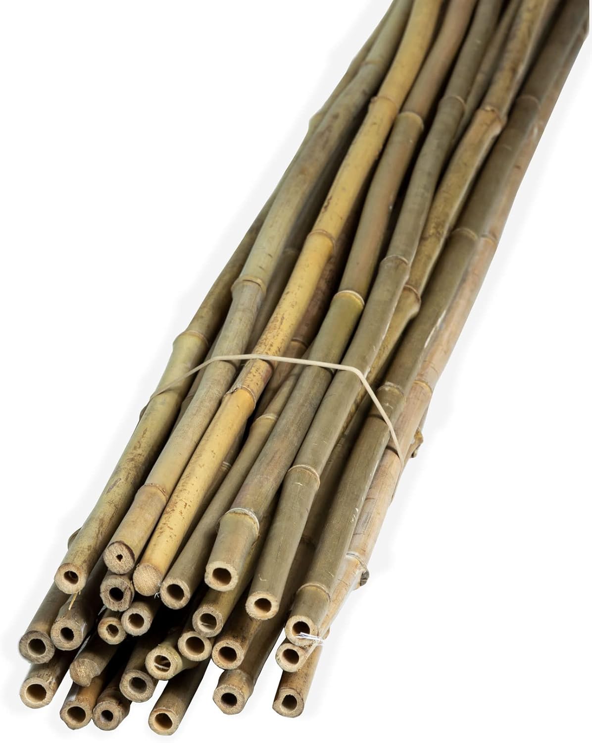 FOREVER BAMBOO 25-Pack 6FT Plant Support Stakes - Durable Indoor/Outdoor Bamboo Sticks