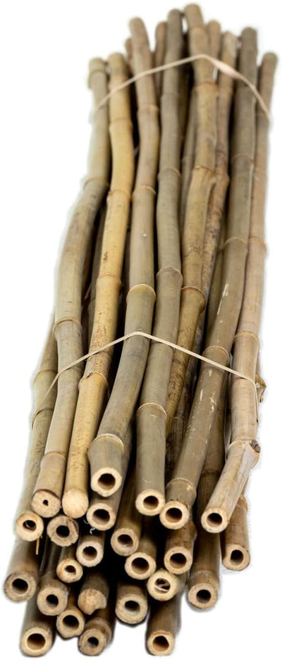 FOREVER BAMBOO 25-Pack 6FT Plant Support Stakes - Durable Indoor/Outdoor Bamboo Sticks