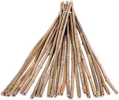 FOREVER BAMBOO 25-Pack 6FT Plant Support Stakes - Durable Indoor/Outdoor Bamboo Sticks