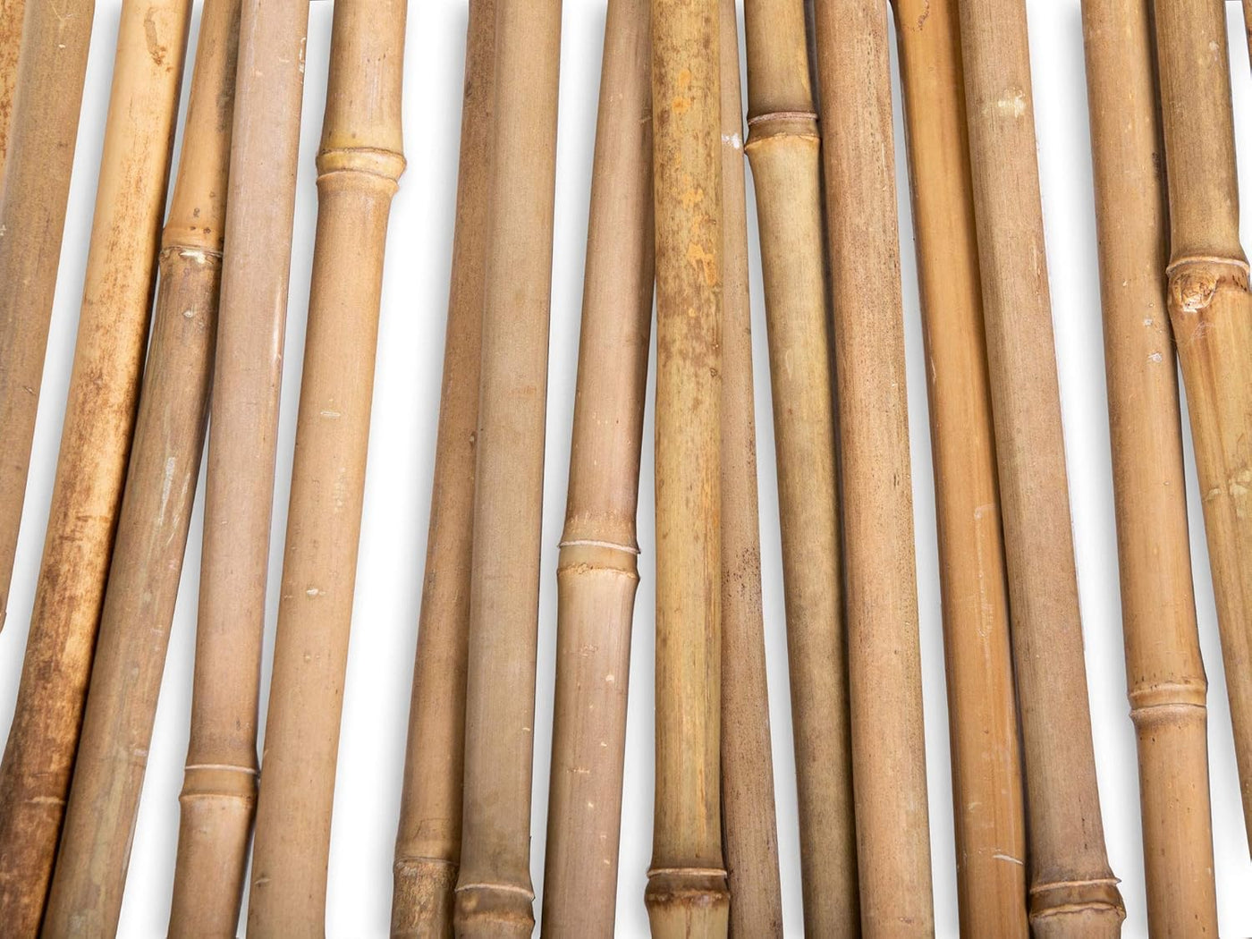 FOREVER BAMBOO 25-Pack 6FT Plant Support Stakes - Durable Indoor/Outdoor Bamboo Sticks