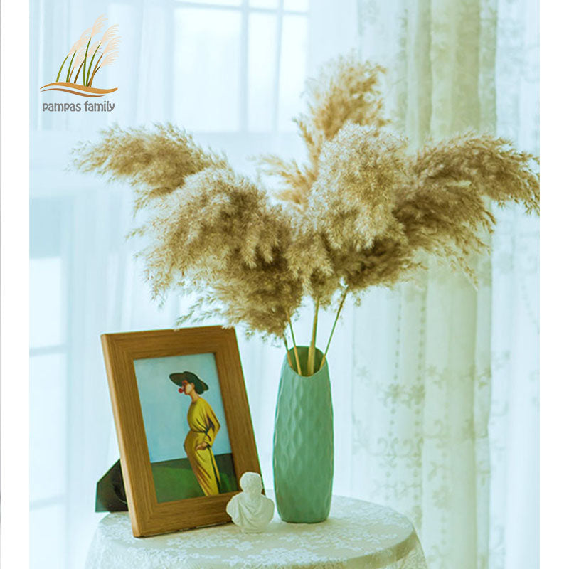 Dried flowers Pampas Grass with Vase Option