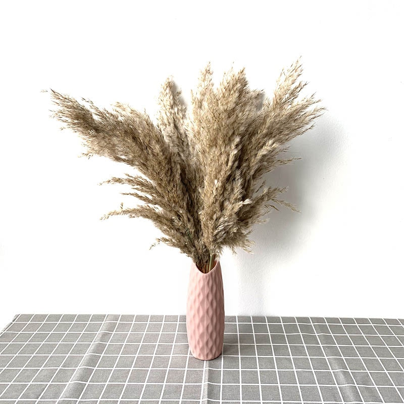 Dried flowers Pampas Grass with Vase Option