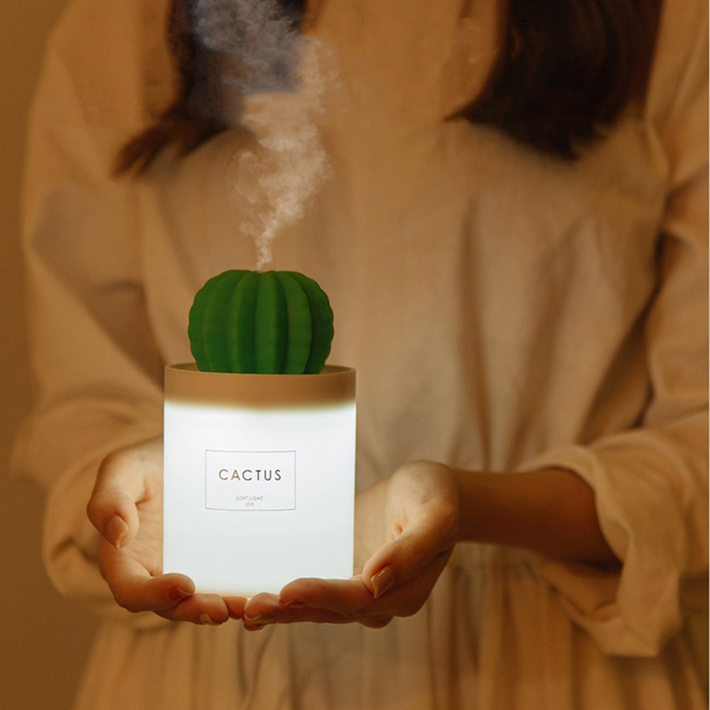 LED Cactus Essential Oil Diffuser with Filter Option