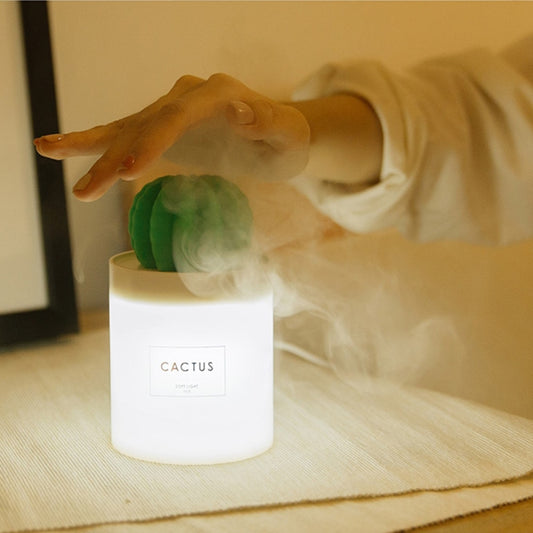 LED Cactus Essential Oil Diffuser with Filter Option