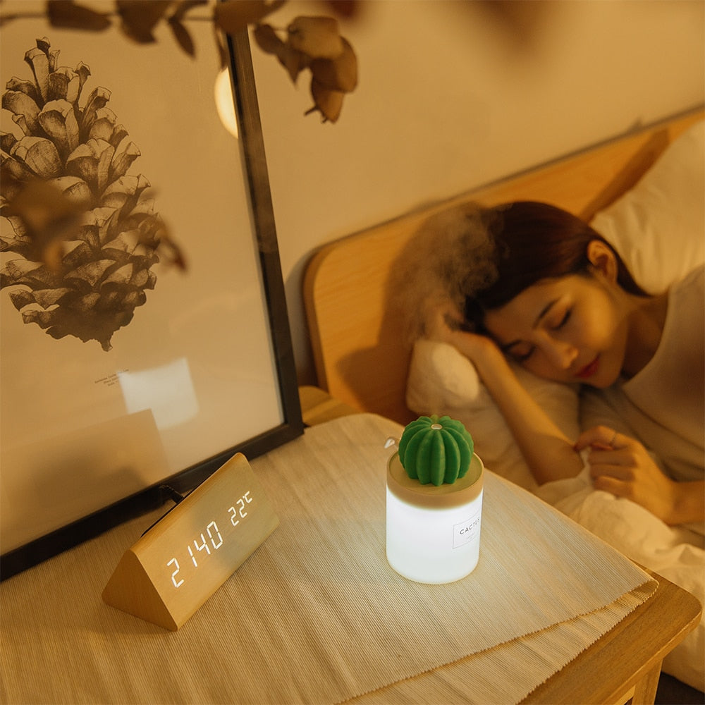 LED Cactus Essential Oil Diffuser with Filter Option