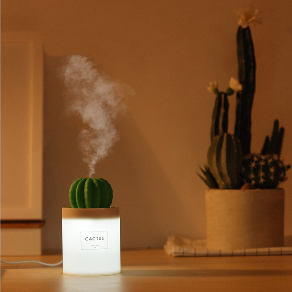 LED Cactus Essential Oil Diffuser with Filter Option