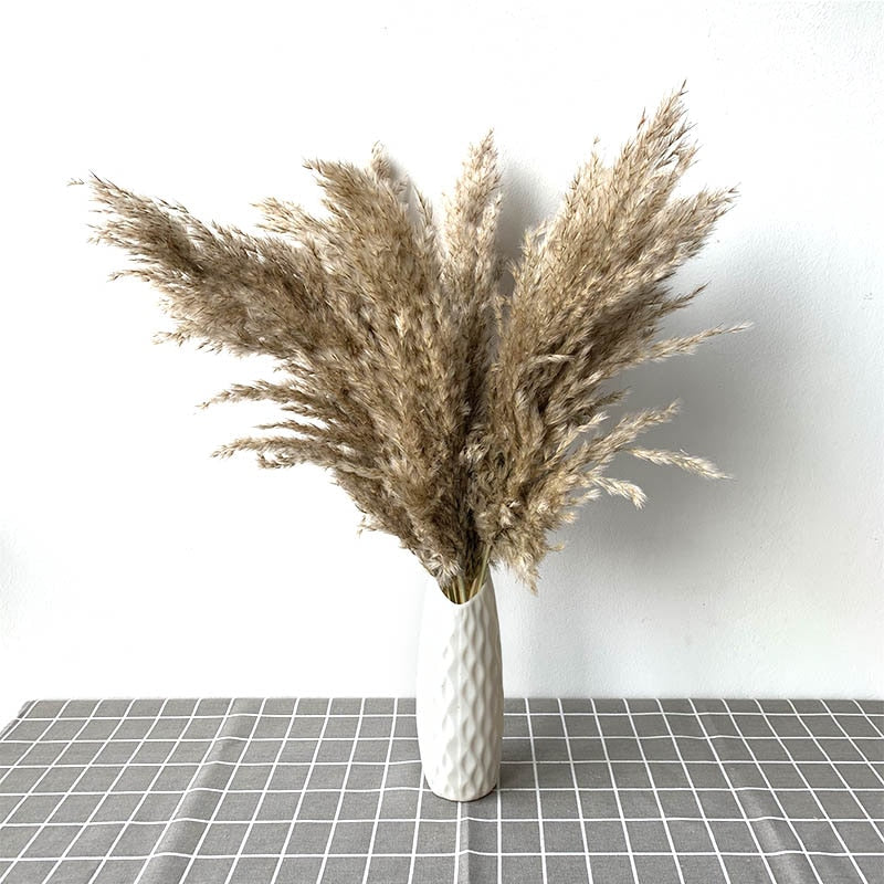 Dried flowers Pampas Grass with Vase Option