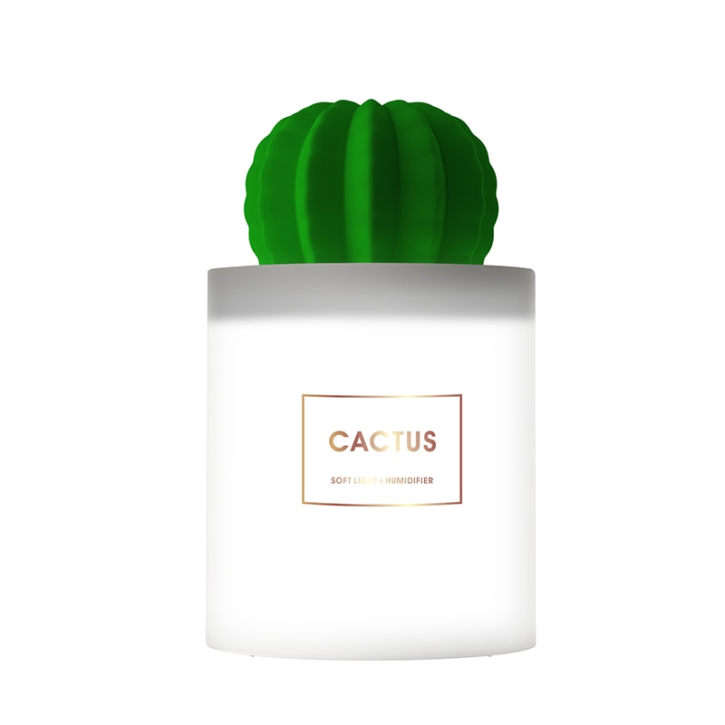 LED Cactus Essential Oil Diffuser with Filter Option